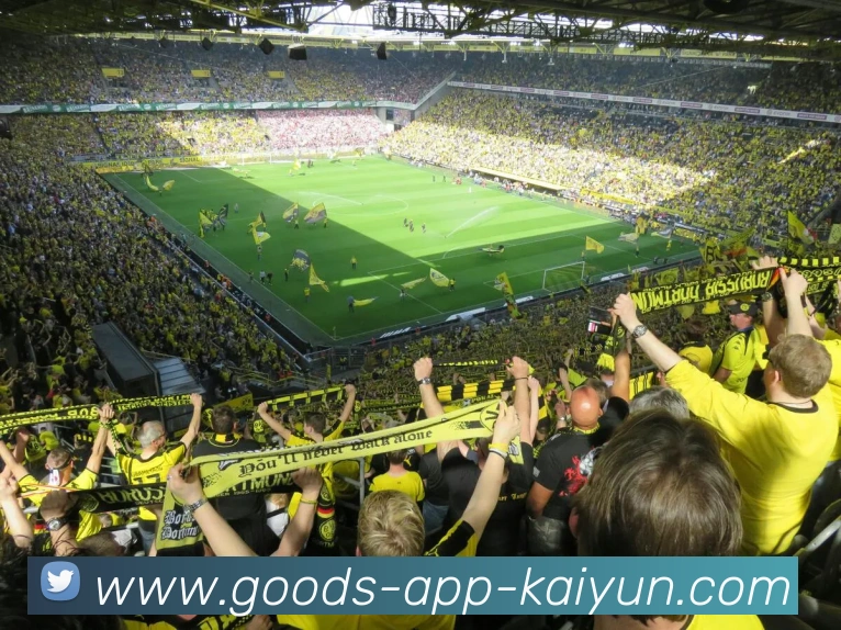 开云app服务体系